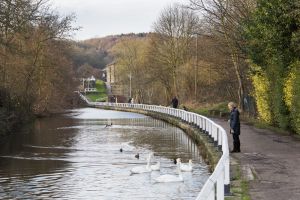 apperly bridge 17 sm.jpg